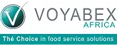 VOYABEX LOGO FILE 1